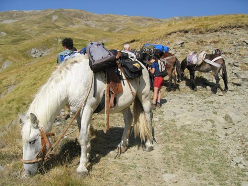 trekking con i muli-44.JPG